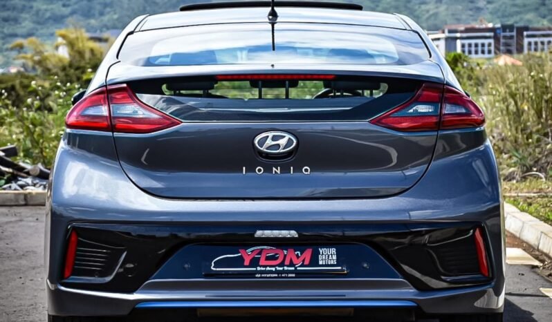 Hyundai Ioniq full